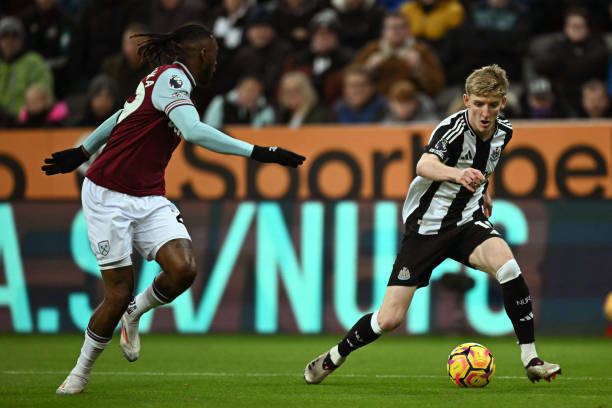 怀斯曼在内 怀斯曼在内