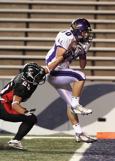 智慧的象征 智慧的象征